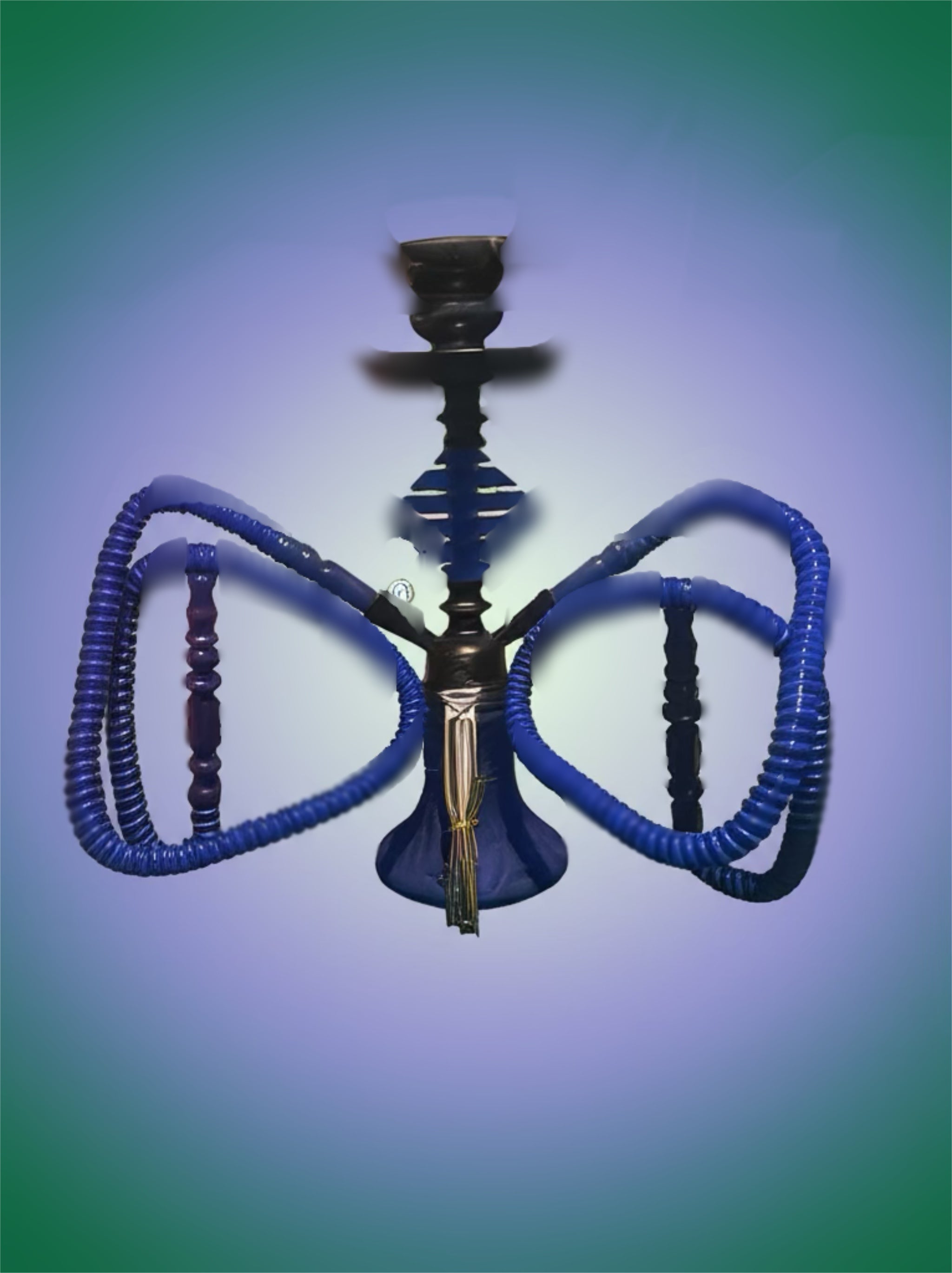💨 Double Trouble Hookah Set