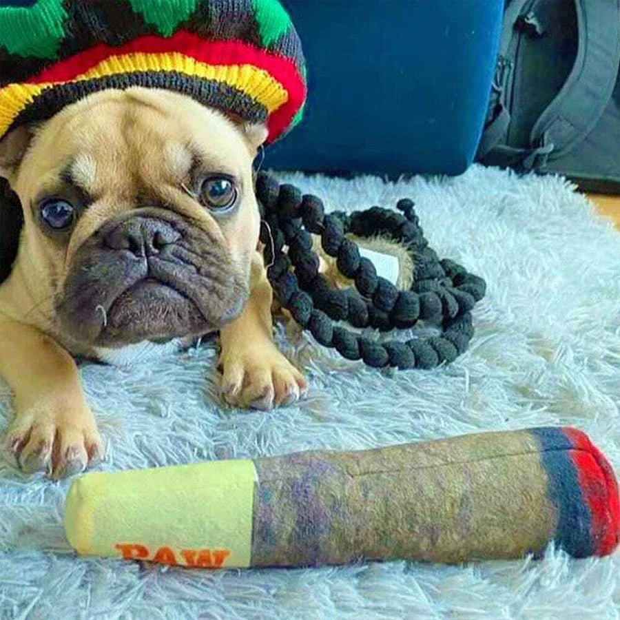 Pup Stogie