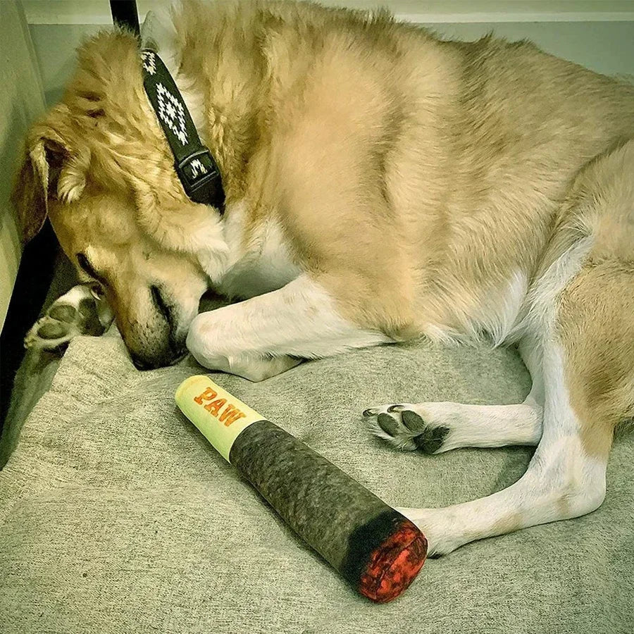 Pup Stogie
